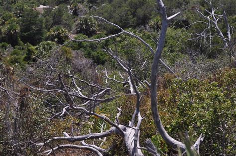 乔治 华盛顿 和 杰斐逊 国家 公园 的图像结果