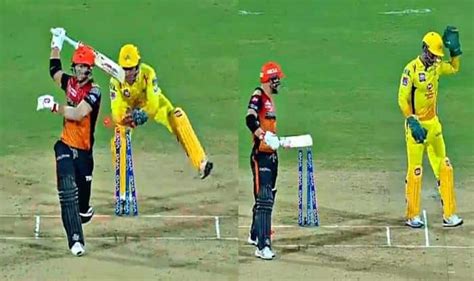 MS Dhoni, David Warner, Dhoni stumps Warner, CSK vs SRH, IPL 2019 ...