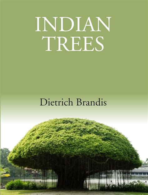 Buy Indian Trees: An Account Of Trees, Shrubs, Woody Climbers, Bamboos ...