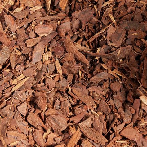 Pro's Choice Golden Trophy 2-cu ft Natural Pine Bark Mulch 302 at Lowes.com