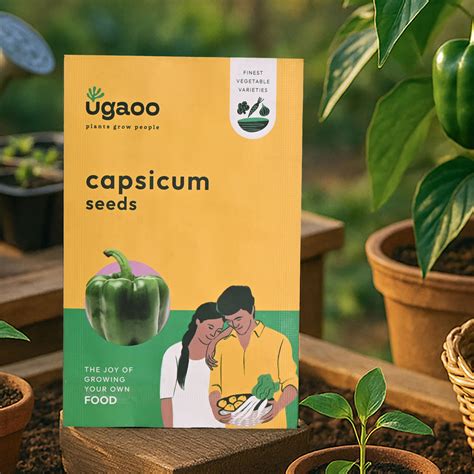 Capsicum Seeds – Ugaoo