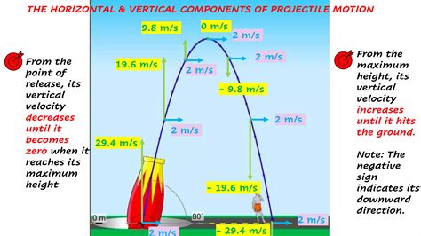 Image result for Projectile Motion Negative Angle