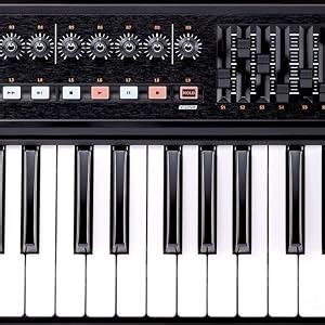 Roland A-300 PRO-R 32-Keys MIDI Keyboard Controller, Black : Amazon.in ...