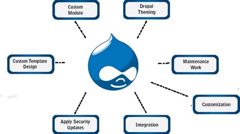 Image result for Drupal Programmers