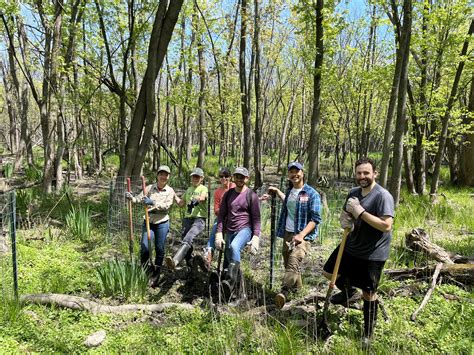 LaBagh Woods/Lower North Branch Stewardship Update: Spring 2023 ...