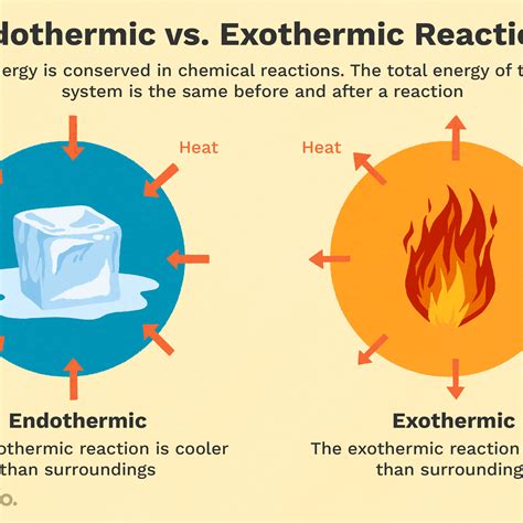 Comparing Endothermic And Exothermic Potential Energy