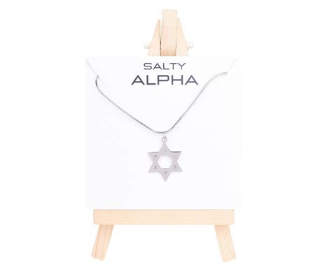 Buy SALTY Alpha Elio & Oliver Star Neck Chain for Men & Boys ...