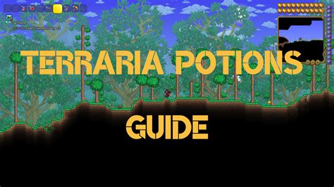 Terraria Potions: Definitive Healing & Buffs [Our Tips] - eXputer.com