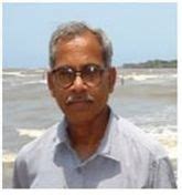 Prof. P.P. Sahay Profile Page