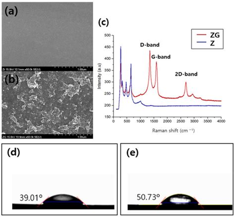Antibacterial Evaluation of Zirconia Coated with Plasma-Based Graphene ...
