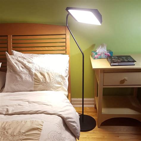 Northern Light Technologies Flamingo Bright Light Therapy Floor Lamp ...