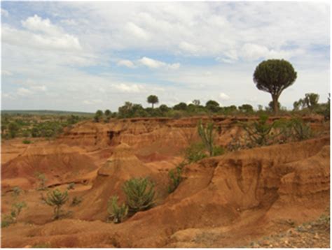 Causes and Features of Watershed Degradation related to MHP Projects ...