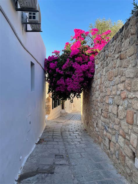 Рік 2021 | YR's Blog