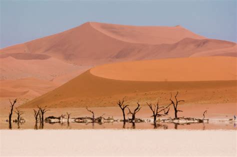 Deadvlei - The "dead marsh" that hides among some of the largest dunes ...