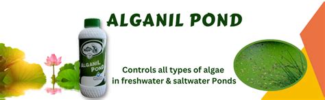 Bio Pro ALGANIL Pond 500ml is an Effective Nano Technology Based Algae ...