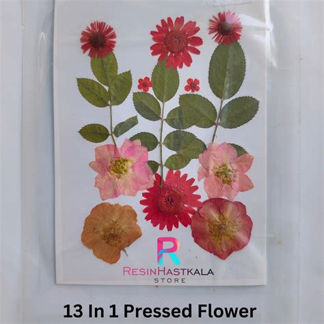 13 In 1 Pressed Flower – Resinhastkala Store