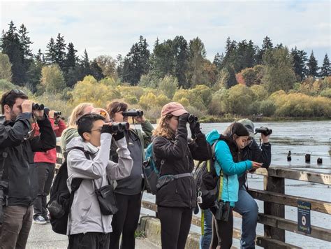 Birds Connect Seattle (@birdsconnectsea) • Instagram photos and videos