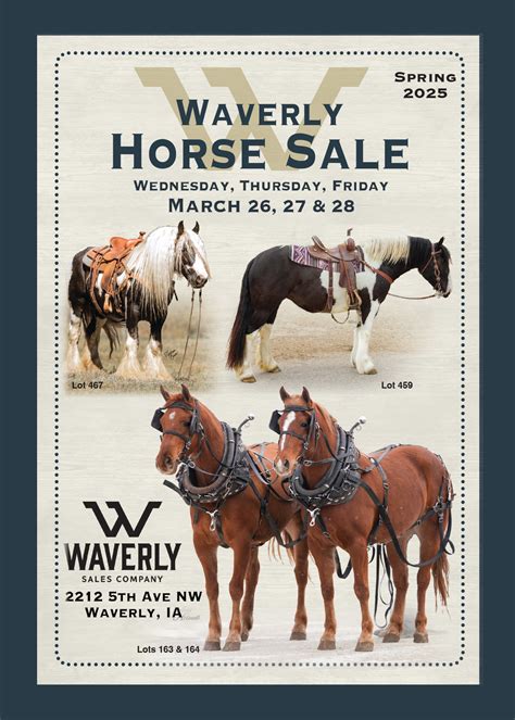 Current Auction - Waverly Sales Company - Horse Sales & More