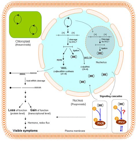 Viruses | September 2009 - Browse Articles