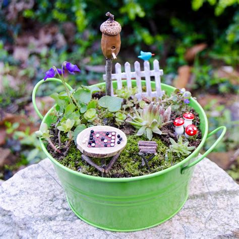 Miniature Fairy Garden