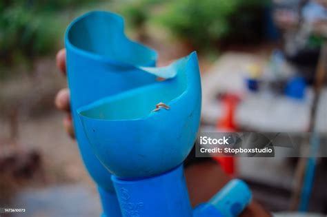 PVC Pipe Exploding 的图像结果