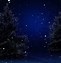 Image result for Christmas Tree Night