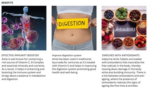 Valkyrine Amla, Amlaki Rasayana | Detoxifies Body | Rich In Vitamin C ...