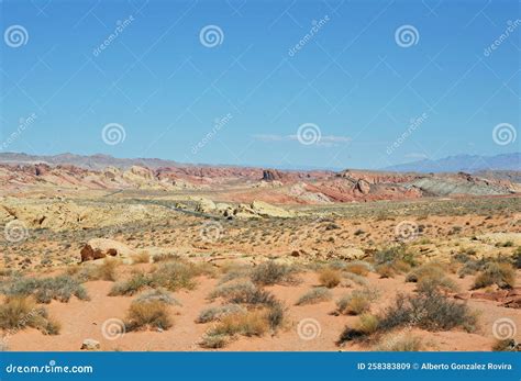Valley of Fire State Park in Nevada, United States Stock Image - Image of nature, canyons: 258383809 - wildlife in valley of fire state park