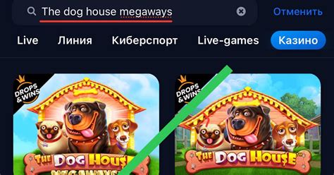 АБУЗ THE DOG HOUSE MEGAWAYS — Teletype