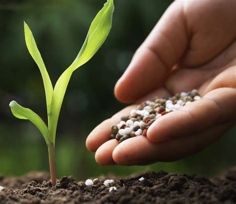 Didar Asia | NPK Grades