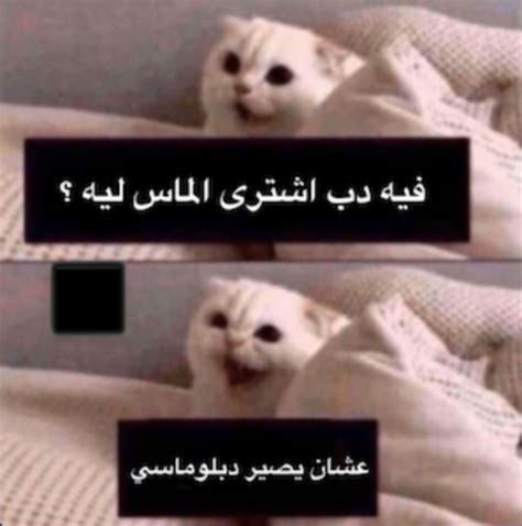 Image result for How Do I Translate Python Out of Arabic Meme