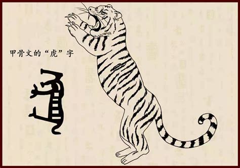 虎年说“虎”，甲骨文如何展现老虎的凶猛，虎字的造字由来和演化_腾讯新闻