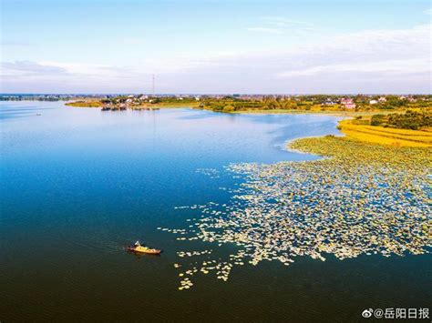 大美岳阳丨湖南华容东湖国家湿地公园风景如画