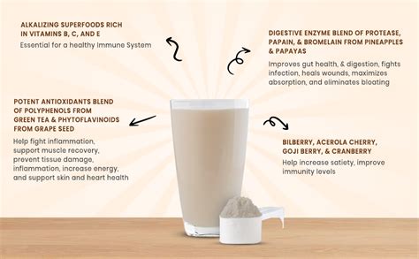 Wellbeing Nutrition Organic Vegan Plant Protein Isolate Powder | 22g ...