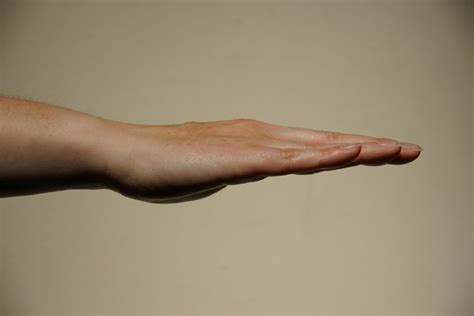 Splinting | Carpal-Tunnel.net