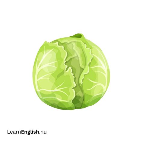 Vegetables in Spanish - learn spanish