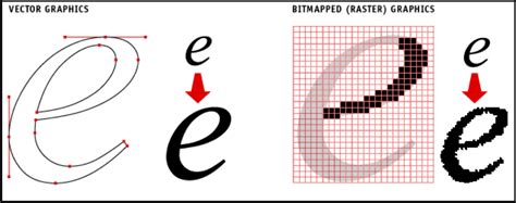 Image result for Bitmap Vector Graphics