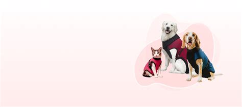 Oliver Pet Care | Trust us to help you care for your pets! – Oliver Pet ...