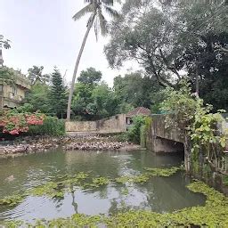 Best Top Rated Chicken restaurant in Chingavanam, Kerala, India | Yappe.in