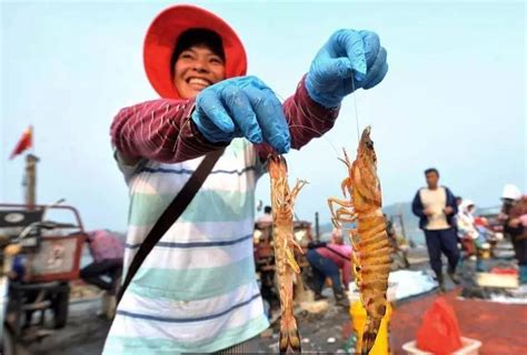 一个人买菜图片,超市买菜图片,农贸市场买菜图片_大山谷图库