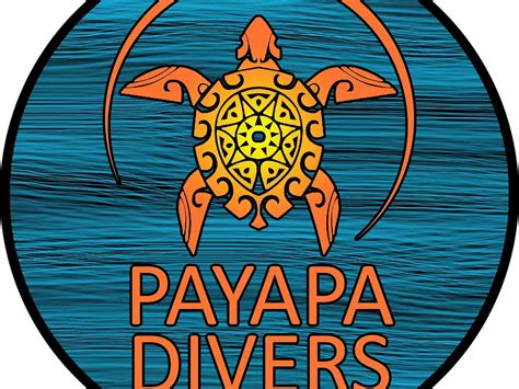 PAYAPA DIVERS (2026) All You Need to Know BEFORE You Go (with Photos ...