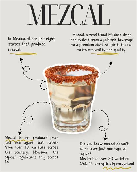 Best 13 This is the real difference between tequila and mezcal – Artofit