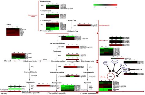 IJMS | Special Issue : The Gene, Genomics, and Molecular Breeding in ...