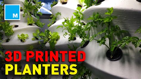This 3D-Printed System Will Help Your Plants Grow - Tech