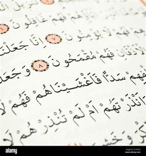 Pages and verses from the holy book of islam religion quran, kuran and ...