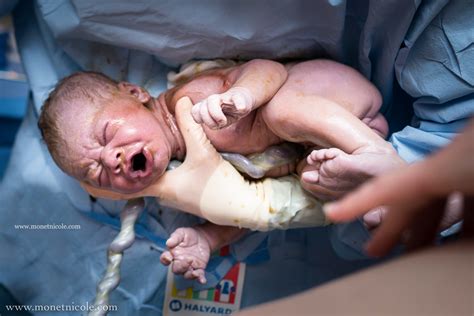 The Beautiful, Incredible Umbilical Cord — Denver Birth Photographer - Monet Nicole
