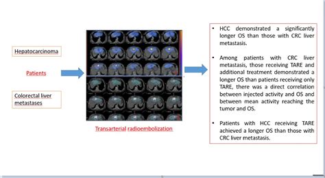 The Influence of Additional Treatments, Injected Activity and Mean Dose ...