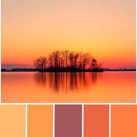 Orange Paint Colors, Orange Color Palettes, Orange Painting, Colour ...