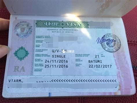 格鲁吉亚电子签证照片尺寸要求及处理方法 - 哔哩哔哩