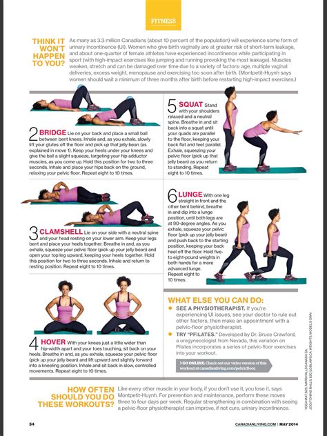 Pin by Pat Langford on Exercise ideas | Pelvic floor exercises, Pelvic ...